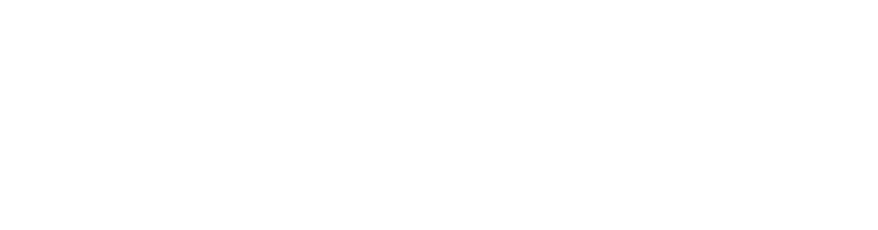 Fortis Insurance Partners - Logo 800 White
